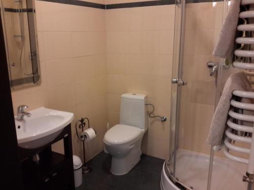 ハイヌフカにあるPensjonat Leśny Dworekのバスルーム(トイレ、洗面台、シャワー付)