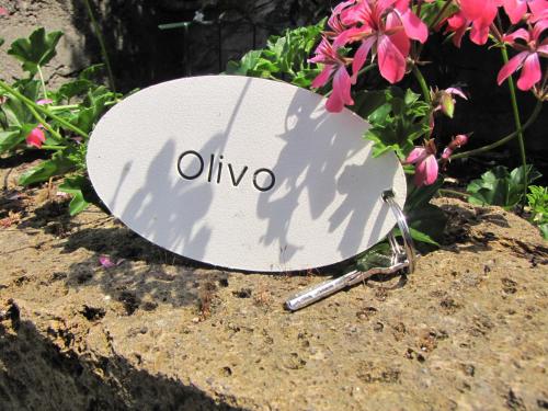 a surfboard sitting on a rock next to flowers at Madonna Dell'Aiuto True View Olivo in Brenzone sul Garda