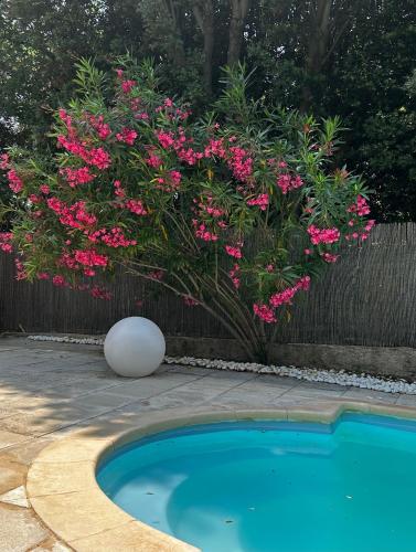 a bush with pink flowers next to a swimming pool at Cocon cosy appart romantique, jacuzzi piscine in Puget