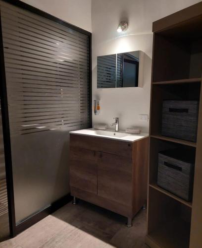 a bathroom with a sink and a shower with a mirror at Hospedaje Galeria 76 in Hermosillo