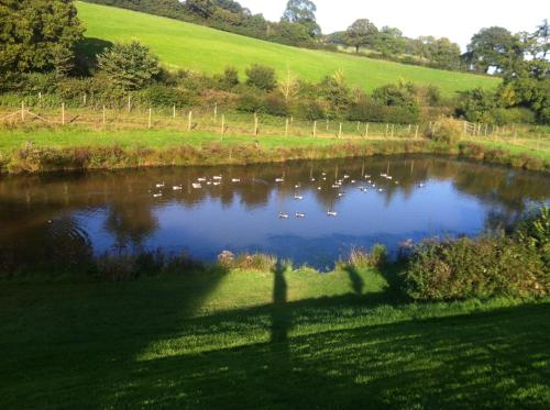 Afbeelding uit fotogalerij van East Dunster Deer Farm B&B in Tiverton