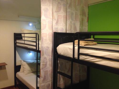 two bunk beds in a room with green walls at Woodpecker Lodge, Kuching in Kuching