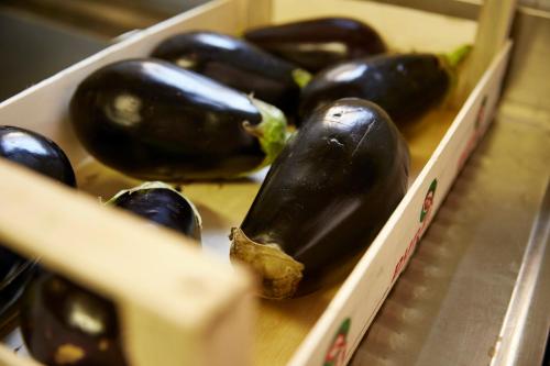 a box full of eggplant on a shelf at Agriturismo Ca' del Ciuco in Vezzano sul Crostolo