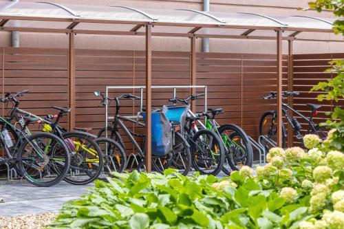 Attività di ciclismo presso l'hotel o nelle vicinanze