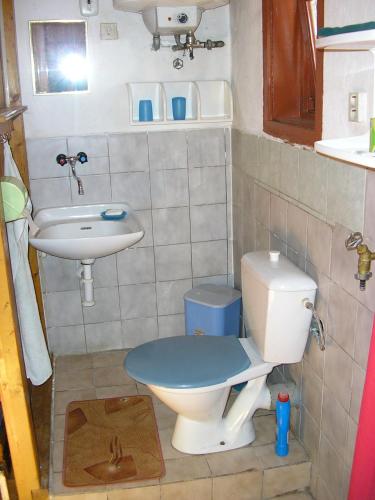 a small bathroom with a toilet and a sink at chalupa Šuňava in Vyšná Šuňava