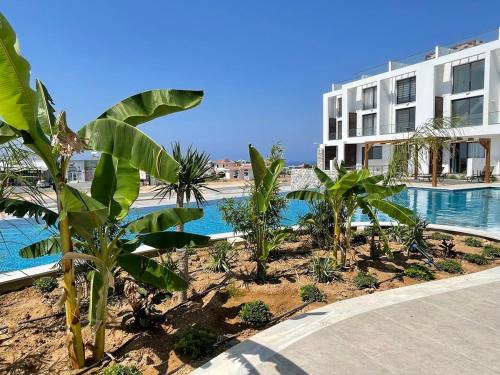 Penthouse Blueberry North Cyprus