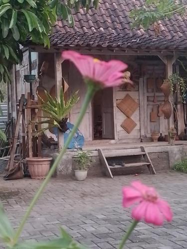 a house with a pink flower in front of it at Eyang Residence Limasan Kebon Dalem in Potrojayan