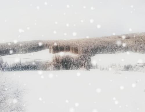 a snowy view of a lake with trees in the background at Brandstättergut in Mariapfarr