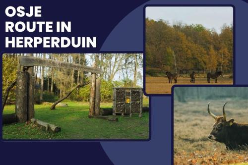 a collage of pictures of animals in a field at Stylish Suite Near Gouden Ham Wifi Ac in Oss