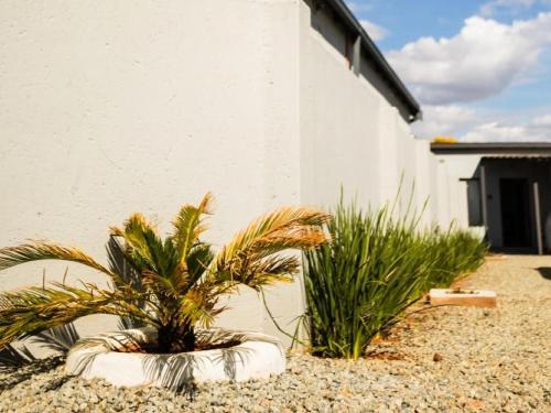 two plants in pots in front of a building at At 32 Michael in Klerksdorp