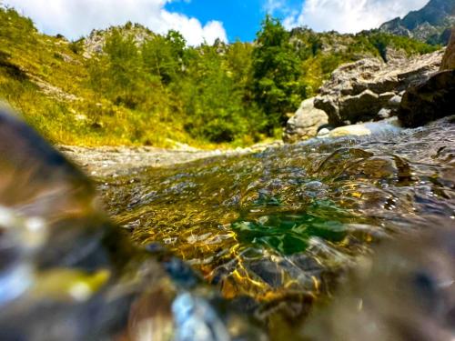 a stream of water with rocks and trees in the background at Incantevole casa sul fiume, Relax e Natura ai piedi della Alpi Apuane in Massa