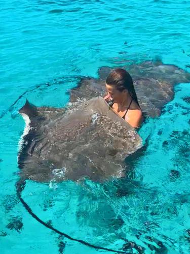 a woman in the water with a dolphin in the water at Noah Private Beach House in Himmafushi