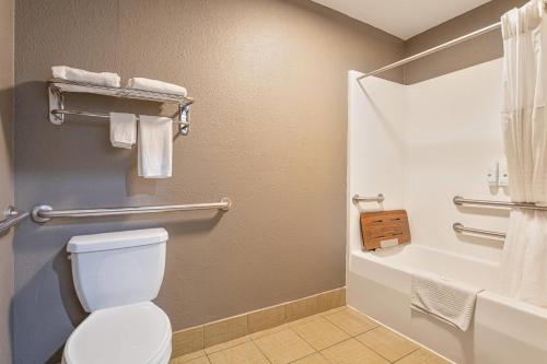 a bathroom with a toilet and a bath tub at Quality Inn Edmund Pettus Bridge area in Selma
