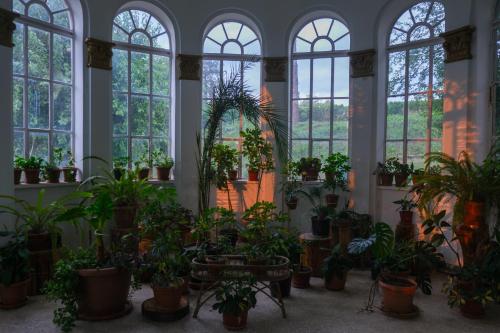 a room filled with lots of potted plants at Legends Tskaltubo Spa Resort in Tskaltubo