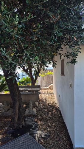 Κήπος έξω από το PICCOLA CASA CON GIARDINO