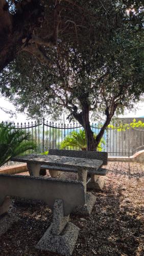 Κήπος έξω από το PICCOLA CASA CON GIARDINO