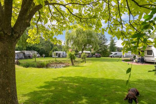 a dog laying in the grass under a tree at Ruime caravan op gezellige minicamping in Lichtenvoorde