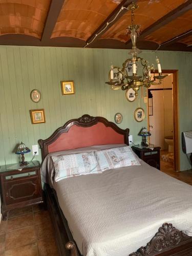 a bedroom with a bed and a chandelier at Ca la Serreta in Cretas