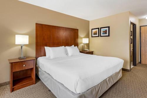 a bedroom with a large bed with a wooden headboard at Comfort Inn & Suites East Moline near I-80 in East Moline