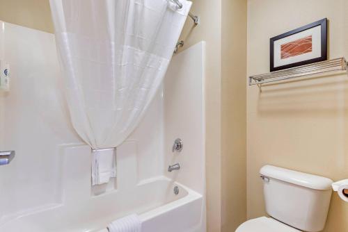 a white bathroom with a toilet and a shower curtain at Comfort Inn & Suites East Moline near I-80 in East Moline