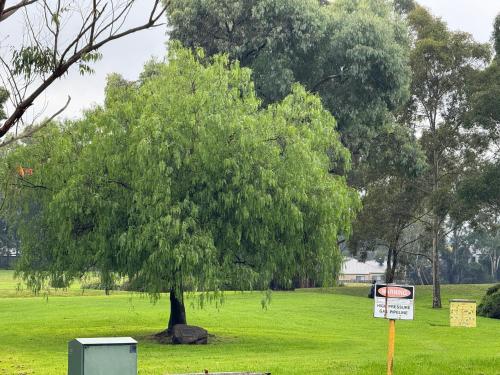 a tree in a field with a sign next to it at Mooroolbark 火车站附近的阳光大床房 in Mooroolbark