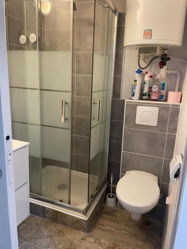 ein Badezimmer mit Dusche und Toilette in der Unterkunft Plage des quilles in Sète