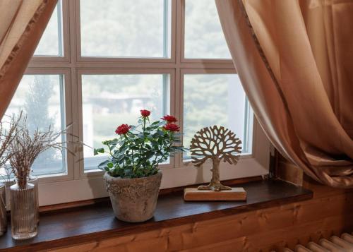 a window with two vases and flowers on a window sill at Ferienwohnung im Landhausstil in Winkel