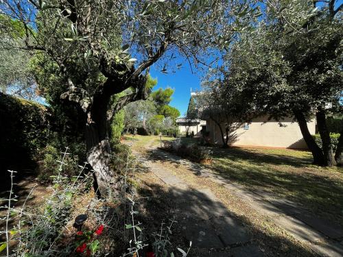 a yard with trees and a house in the background at Residence Poggio Golf Chianti Firenze in Impruneta
