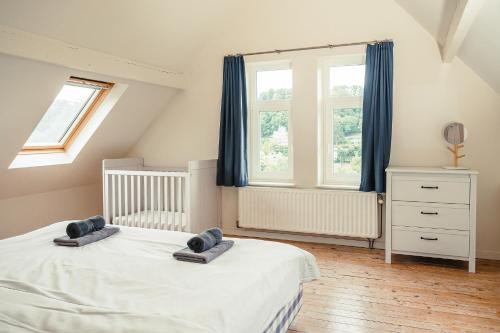 a bedroom with a bed and two windows at Villa Louise in Durbuy