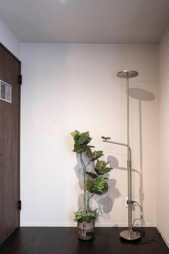 a plant in a room with a white wall at Violet Garden in Furano