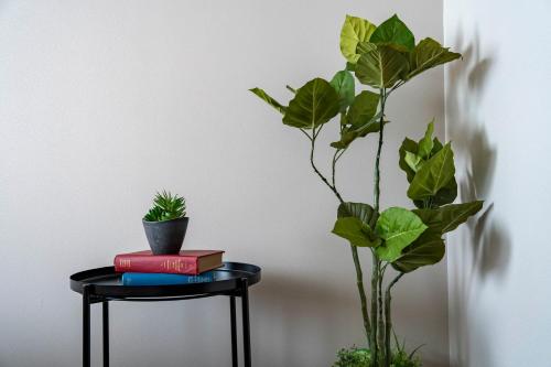 a table with a plant and books on it at Violet Garden in Furano