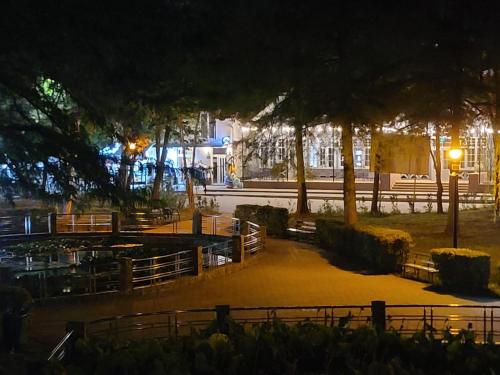 Taman di luar Pensiunea Sebastian