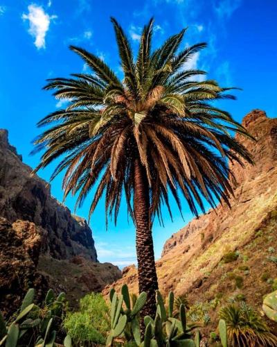 Apartment Volcano Beach