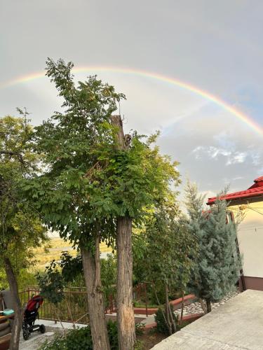 Gallery image of Casa Lui Neica in Tulcea