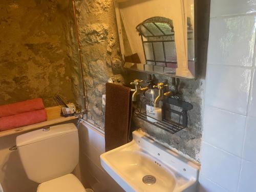 a bathroom with a toilet and a sink at Tiny House El Forn de La Pegatera in Coll de Nargó