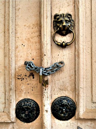 a door with a lion head knocker on it at Gaia Guesthouse in Dilofo