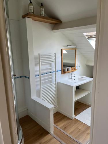 een badkamer met een wastafel en een spiegel bij La Maison Rose in Saint-Armel