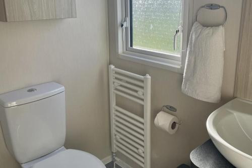 a bathroom with a toilet and a sink and a window at Newquay Bay Resort pet friendly sleeps 6 WiFi in Newquay