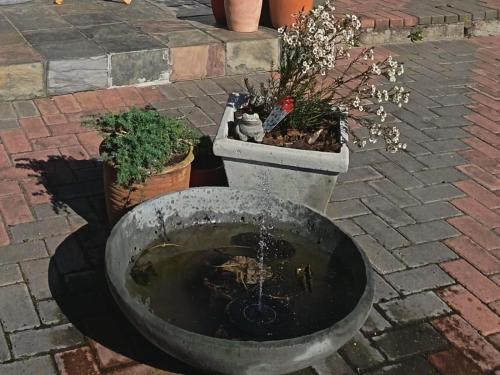 a water fountain with potted plants on a brick ground at Nouvelle Vie Self-catering Accommodation in Reebok