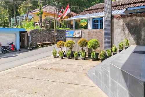 a row of potted plants on the side of a street at RedDoorz near Treetop Adventure Kopeng in Kopeng
