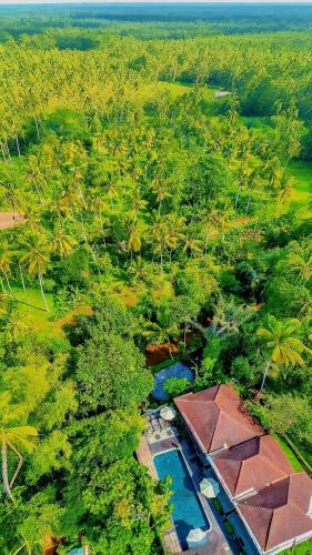 an overhead view of a resort with a swimming pool and trees at Tattva Ubud Retreat & Wellness in Ubud