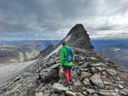 a man standing on the top of a mountain at Harevadet 217 in Volda