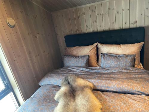 a dog laying on a bed in a room at Harevadet 217 in Volda