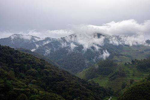 a view of a mountain range with clouds and trees at Burunga Gorilla Lodge in Kisoro