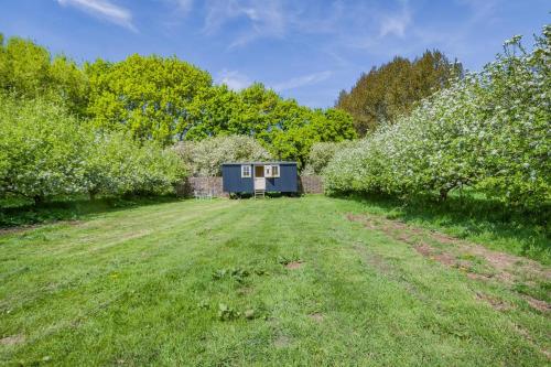 a blue shed in the middle of a grass field at The Orchard Hut in Burnham Market