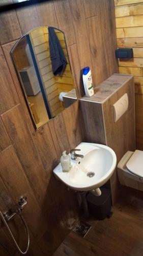 a bathroom with a sink and a toilet and a mirror at La dolce vita in Inđija