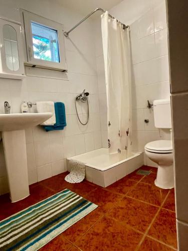 a bathroom with a toilet and a shower and a sink at Ribarica GO green in Ribarica
