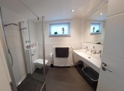 ein Badezimmer mit Dusche, Toilette und Waschbecken in der Unterkunft FeWo Friedrichshafen in Friedrichshafen