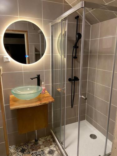 a bathroom with a shower with a sink and a mirror at Hippie Beach in Zandvoort