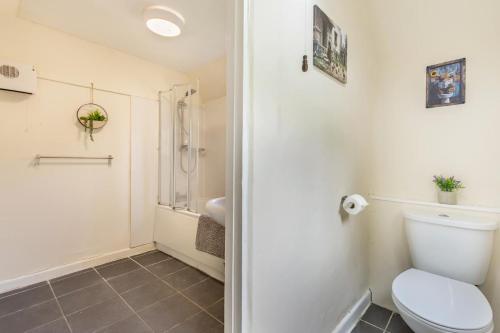 a bathroom with a toilet and a shower at Pooles Farm Cottage in Stowmarket